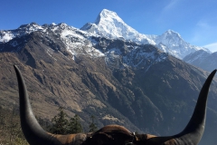 Samsara-Trekking-Annapurna-Serenity-Trek-4