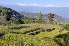 Samsara-Trekking-Annapurna-Serenity-Trek-9