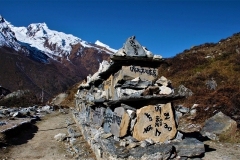 Samsara-Langtang-Valley-1