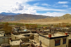 Lo-Mustang-View