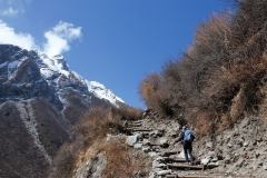 Samsara-Trekking-Langtang-Valley-34